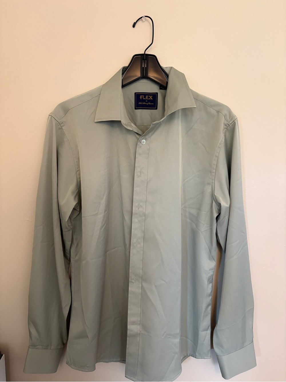 FLEX Men's Light Sage Green Dress Shirt - Classic Point Collar